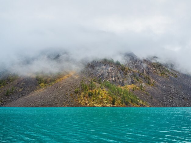 Fundo natural místico alpino com nevoeiro de manhã cedo. silhuetas de pinheiros pontiagudos na encosta ao longo do lago de montanha em nevoeiro denso.