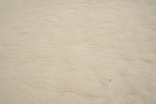 Fundo natural Superfície de areia na praia no verão