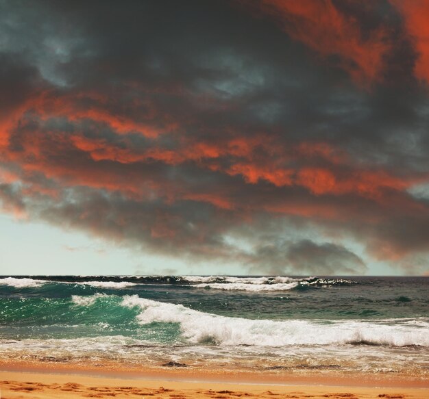 Foto fundo oceânico