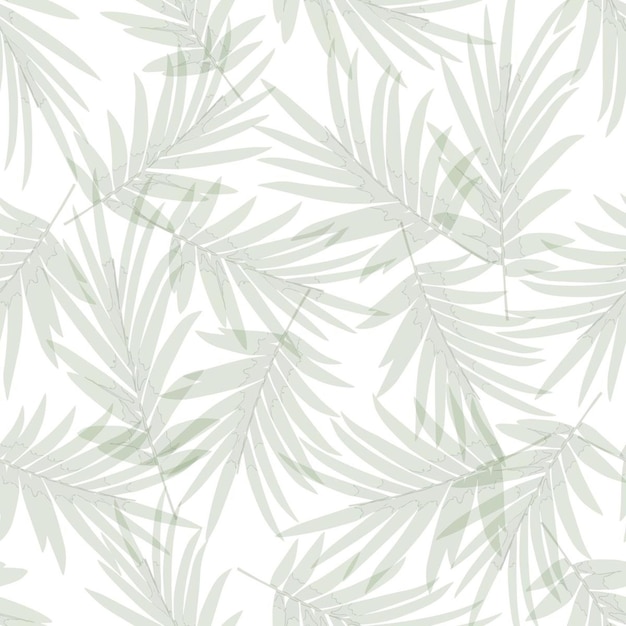 Foto fundo padrão tropical com folhas de palmeira em pano de fundo branco botânico verde e branco sem costura