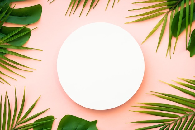 Fundo plano de verão Folhas tropicais e pódio branco em fundo rosa