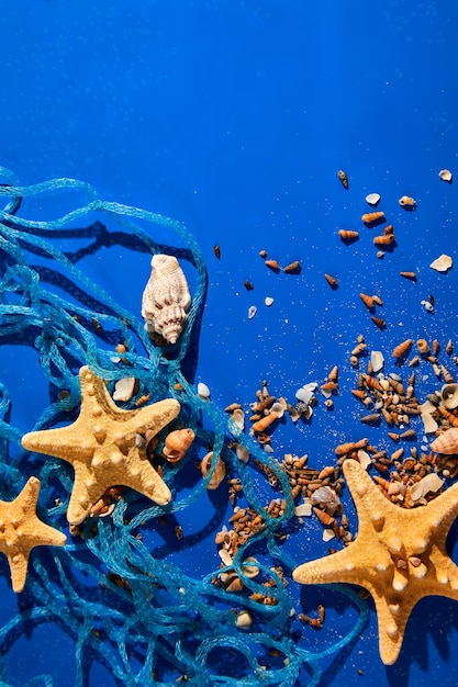 Fundo plano leigo com conchas de estrelas do mar na textura de água azul com luz solar