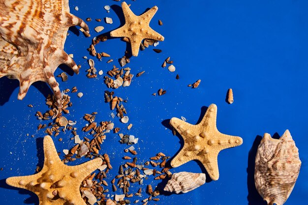 Fundo plano leigo com conchas de estrelas do mar na textura de água azul com luz solar