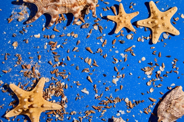 Foto fundo plano leigo com conchas de estrelas do mar na textura de água azul com luz solar