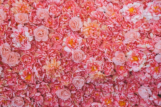 Fundo rosa flor.