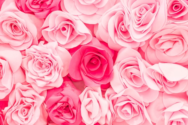 Foto fundo rosa linda