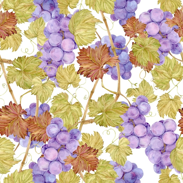 Fundo sem costura com videira Aquarela lila bagas e folhas de uva de outono Ilustrações para design de rótulos de vinho menu de restaurante de suco de uva e para decoração de festival de uva