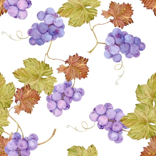 Fundo sem costura com videira Aquarela lila bagas e folhas de uva de outono Ilustrações para design de rótulos de vinho menu de restaurante de suco de uva e para decoração de festival de uva