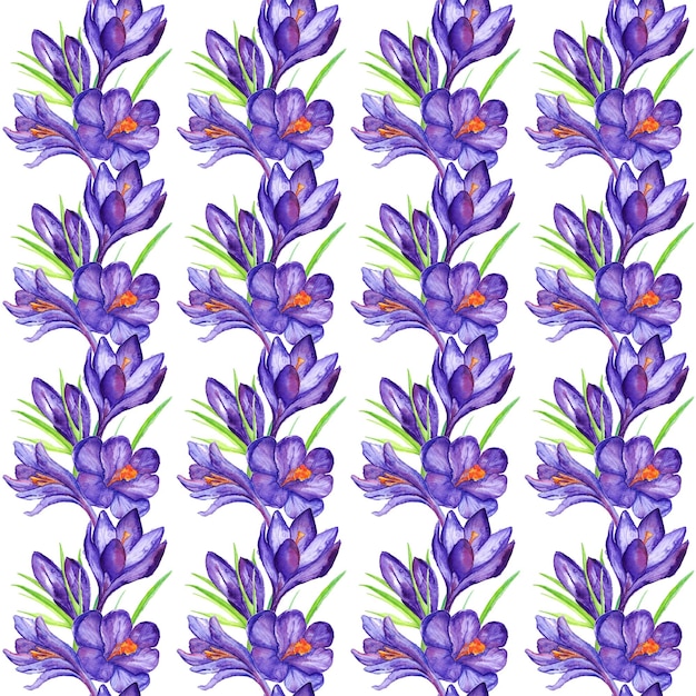 Fundo sem costura de flor de açafrão violeta violeta aquarela