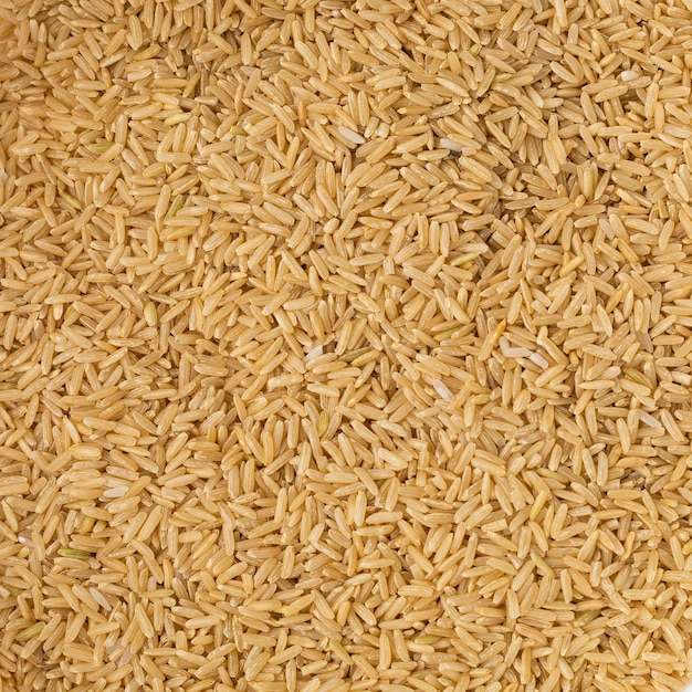 Fundo sólido de arroz de grão longo marrom seco