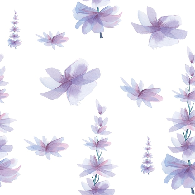 Fundo suave da primavera, padrão de flores violetas. Flores violetas em aquarela, desenhadas à mão, isoladas no fundo branco. Pano de fundo perfeito.