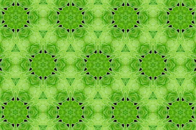 Fundo texturizado abstrato verde