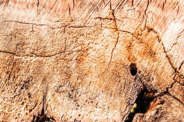 Fundo texturizado de madeira