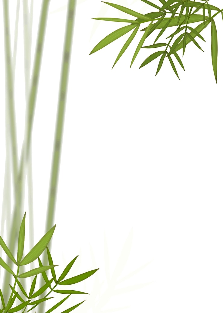 Foto fundo transparente de borda png de bambu