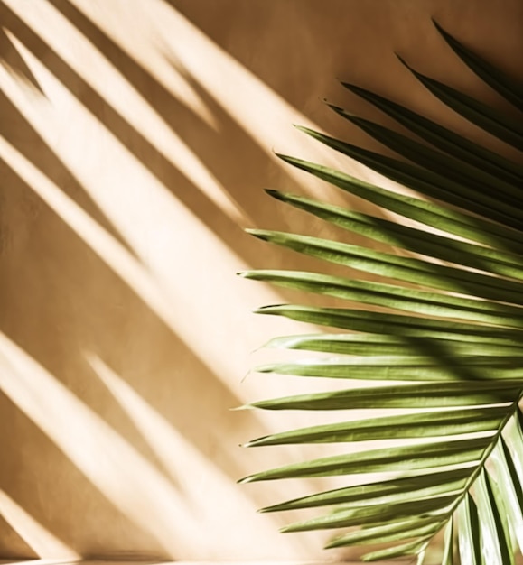 Fundo tropical para uma colocação de produto folhas de palmeira e sombras de luz solar na parede palmeiras de fundo botânico minimalista em um dia quente e ensolarado