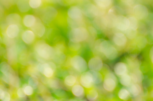 Fundo verde, bokeh de fundo