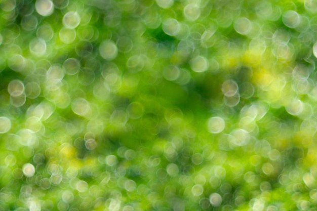 Fundo verde bokeh natural