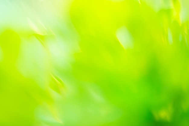 Fundo verde bokeh turva com efeito de movimento