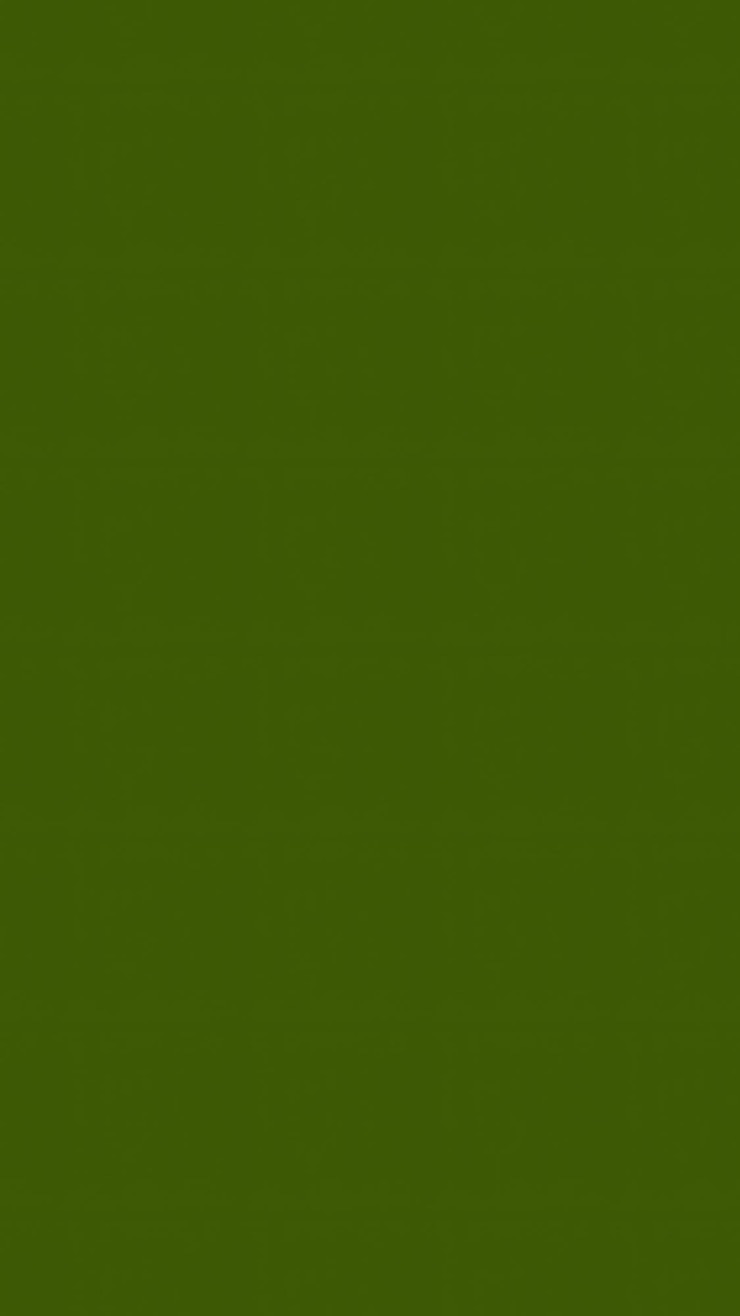 Foto fundo verde caqui limpo sem textura sem ruído grunge vazio espaço de cópia em branco mockup sem costura