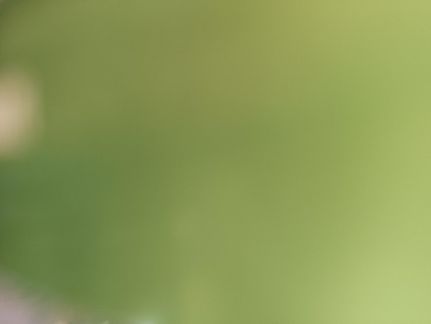 Fundo verde de gradiente abstrato para banner