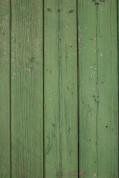 Fundo verde de madeira Tábuas pintadas Amostra em branco