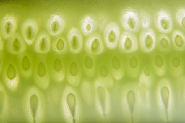 Fundo verde macro pepino