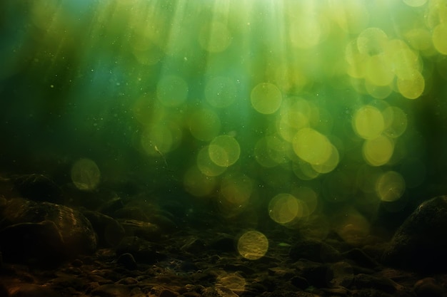 fundo verde subaquático de água doce com raios de sol sob a água