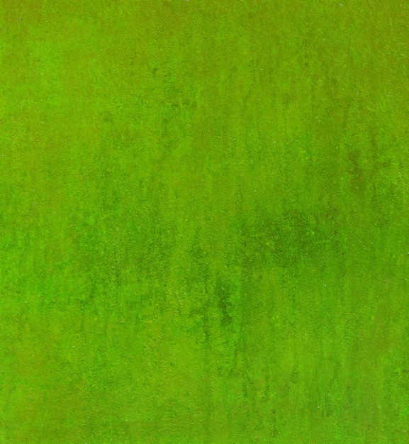 fundo verde