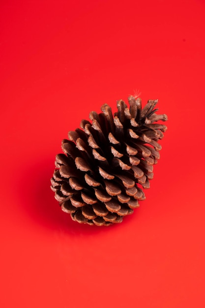 Fundo vermelho do cartão de natal com vista superior isolada de pinha seca
