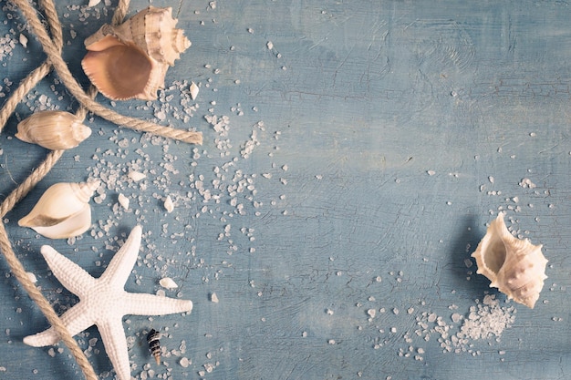 Fundo vintage monocromático azul e branco com estrelas do mar de conchas e um espaço de corda para texto tingido