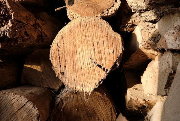 Fundos de toras de madeira empilhadas