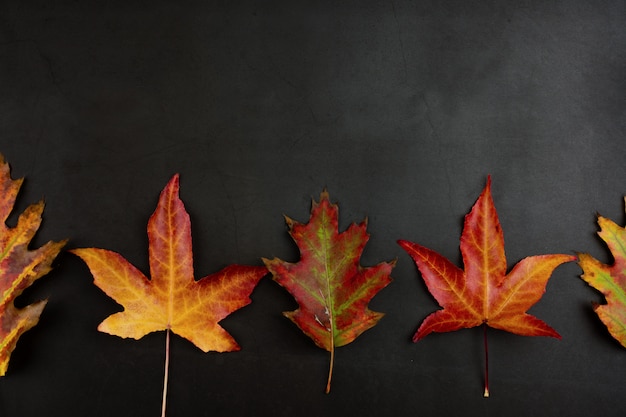 Fundos, quadro ou beira do outono das folhas coloridas da queda.