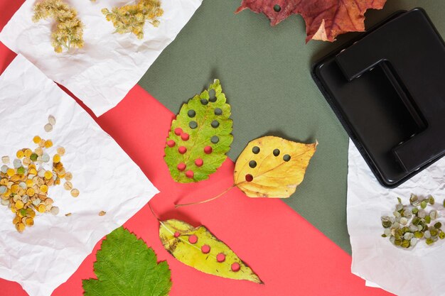 Furador e folhas para confetes de festa artesanais, confetes ecológicos de outono e folhas frescas, preparação para o natal, decoração de festa com desperdício zero, fundo vermelho e verde