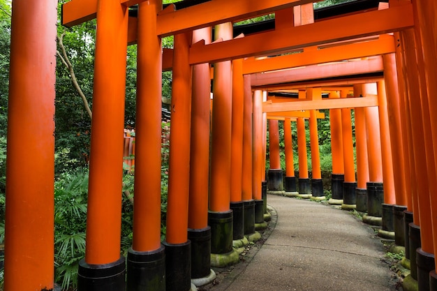 Fushimi Inari-Schrein in Kyoto