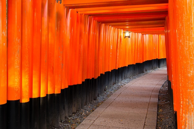 Foto fushimi inari-schrein