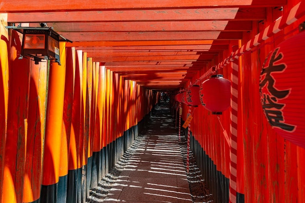 Fushimi Inaritaisha-Schrein Tausende unzählige zinnoberrote Torii-Tore auf einem Hügel in Kyoto, Japan