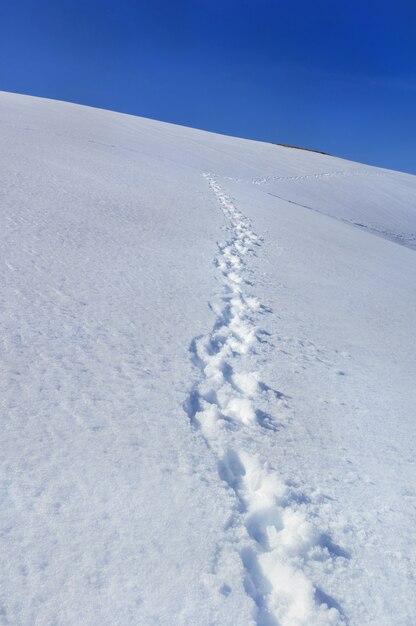 Fußabdruck im Schnee