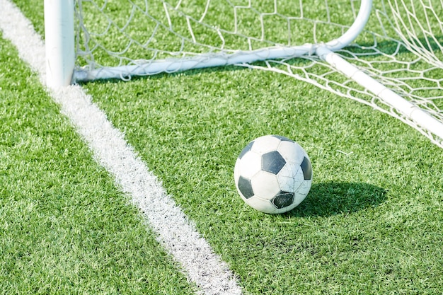 Fußball auf dem Rasen durch Netz