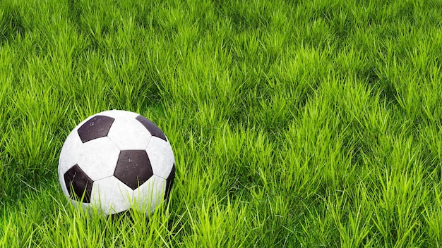 Fußball auf einer Wiese Realistischer Fußball auf dem Spielfeld Fußball mit Tautropfen 3D-Render