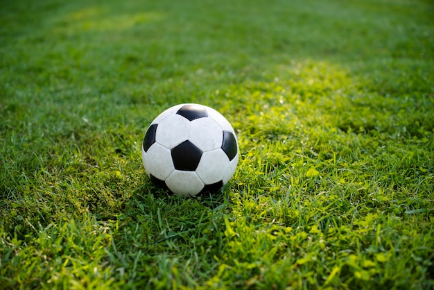 Foto fußball auf grünem gras im park