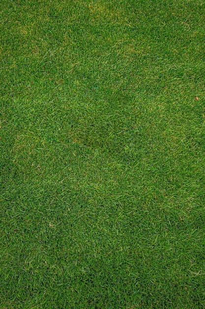 Fußballfeld. Grasbeschaffenheit. Grüner Rasen. Natürlicher Hintergrund.