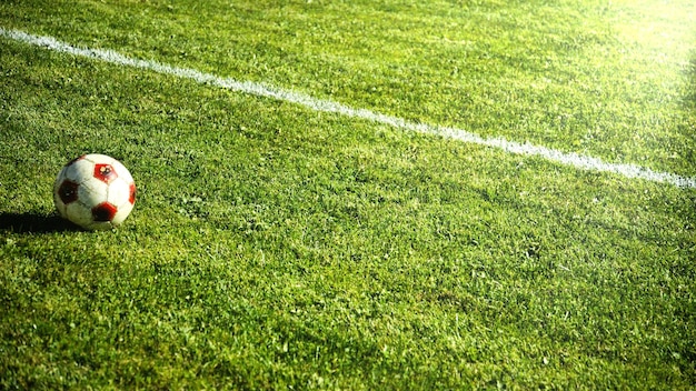 Fußballfeld mit grünem Gras Sportthema Bild