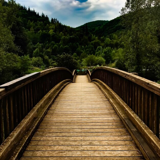 Foto fußgängerbrücke im wald gegen den himmel