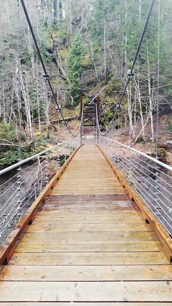 Foto fußgängerbrücke im wald