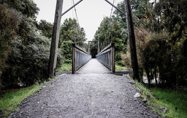 Fußgängerbrücke inmitten der Bäume gegen den Himmel