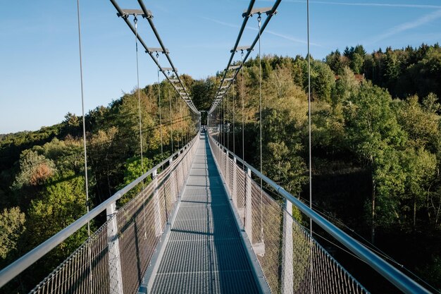 Foto fußgängerbrücke inmitten von bäumen gegen den himmel