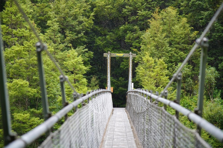 Foto fußgängerbrücke über einen fußweg im wald