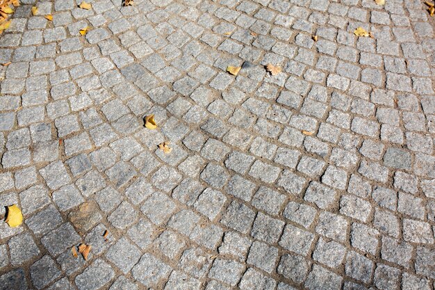 Fußgängerstraße aus Granitsteinen mit gelben Herbstblättern. Nahaufnahme