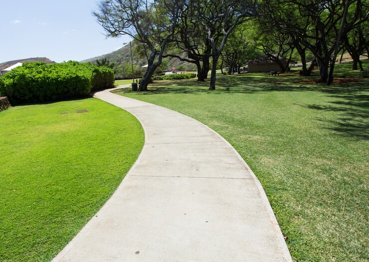 Fußgängerweg im Park