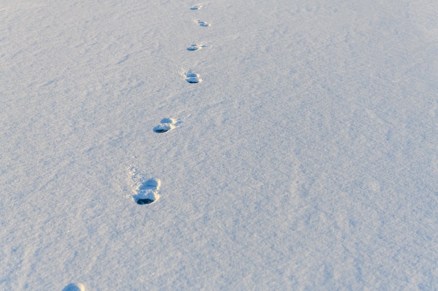 Fußspuren der Schuhsohle auf dem weißen Schnee